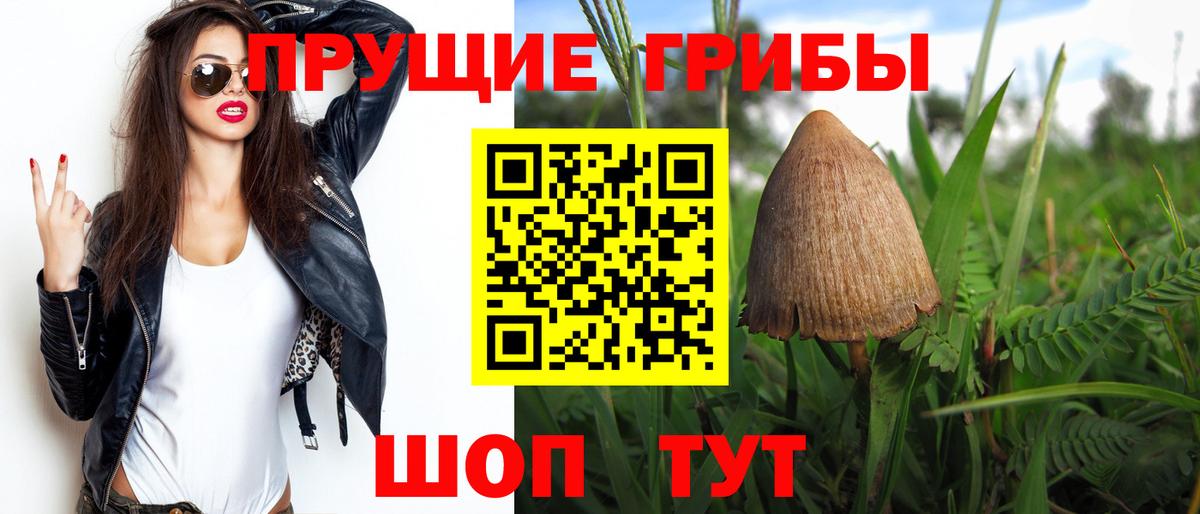 Псилоцибиновые грибы мицелий  Вход с VPN  Касимов 